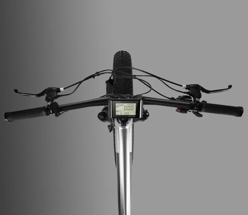 Vanpowers Manidae Electric Bike