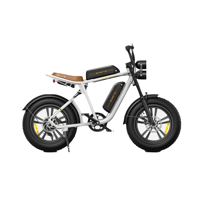 Engwe M20 Electric Cruiser Bike (Double Battery)
