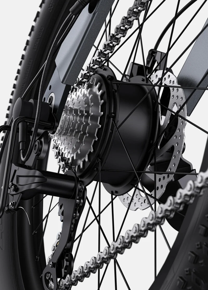 Engwe C20 Pro Folding Electric Bike