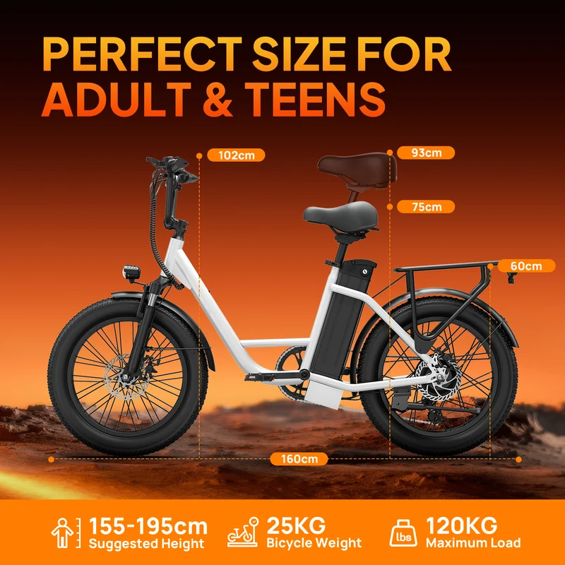 URLIFE E20 20" Step Through Electric Bike 250W Motor 48V 13Ah Battery (EU & UK)