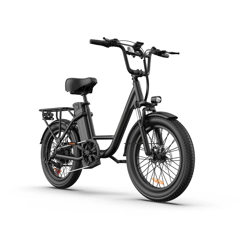 URLIFE E20 20" Step Through Electric Bike 500W Motor 48V 13Ah Battery (US)