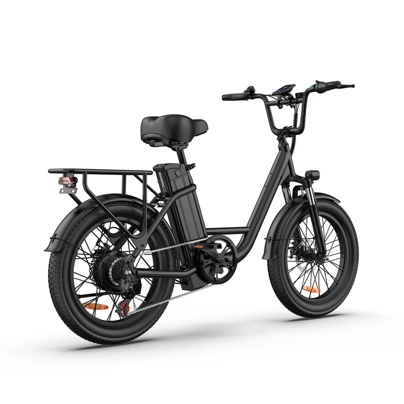 URLIFE E20 20" Step Through Electric Bike 500W Motor 48V 13Ah Battery (US)
