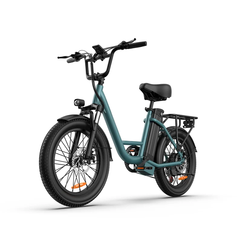 URLIFE E20 20" Step Through Electric Bike 500W Motor 48V 13Ah Battery (US)