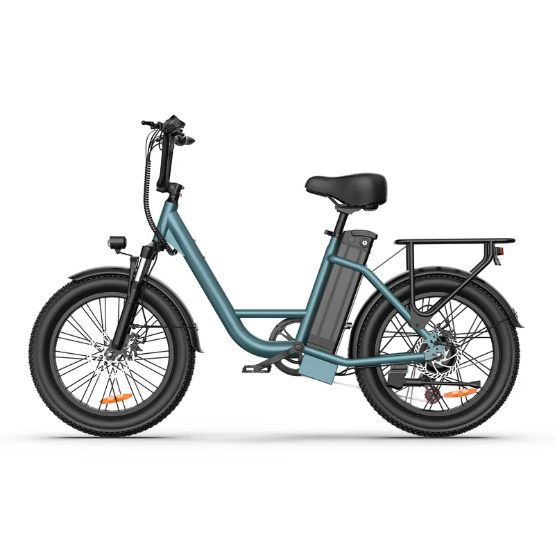 URLIFE E20 20" Step Through Electric Bike 500W Motor 48V 13Ah Battery (US)