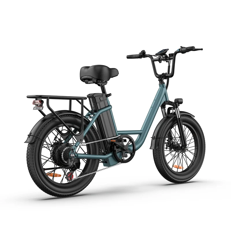 URLIFE E20 20" Step Through Electric Bike 500W Motor 48V 13Ah Battery (US)