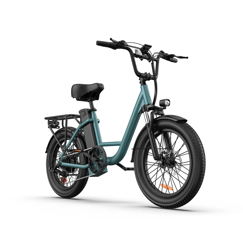 URLIFE E20 20" Step Through Electric Bike 500W Motor 48V 13Ah Battery (US)
