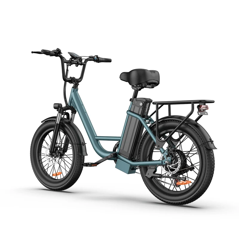 URLIFE E20 20" Step Through Electric Bike 500W Motor 48V 13Ah Battery (US)