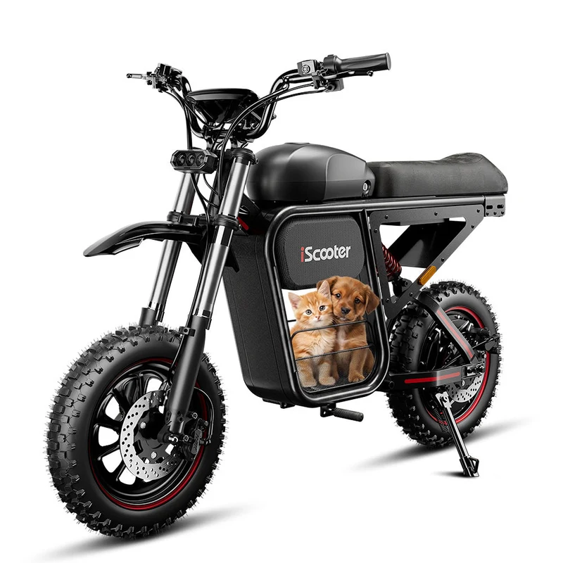 iScooter DX5Max Electric Dirt Bike for Adults