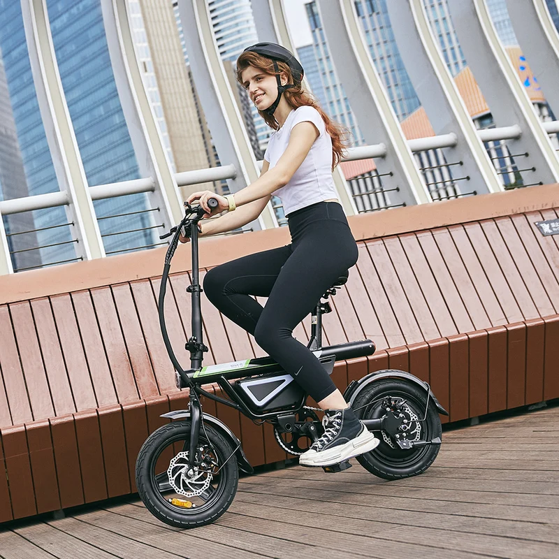 U1/EB1S Foldable Electric Bike 500W