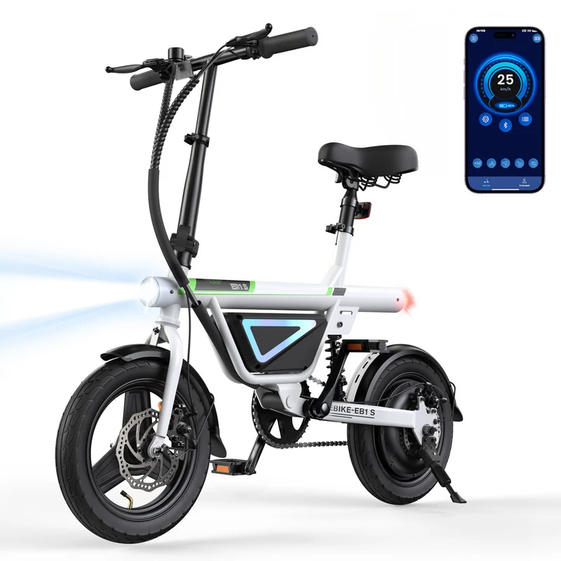 U1/EB1S Foldable Electric Bike 500W