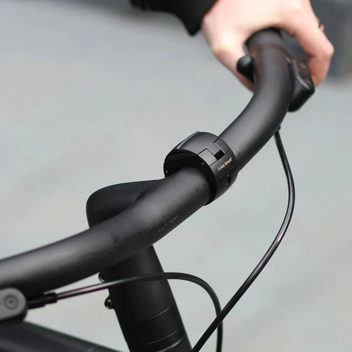 Loop Mount Twist Phone Mount