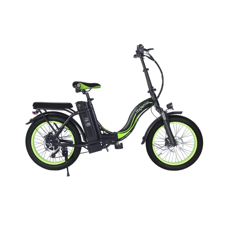 Windgoo E20 Folding Electric Bike
