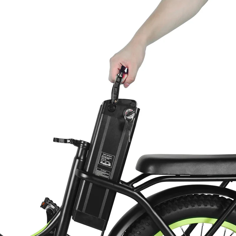 Windgoo E20 Folding Electric Bike