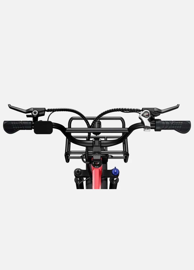 Engwe L20 Electric Bike