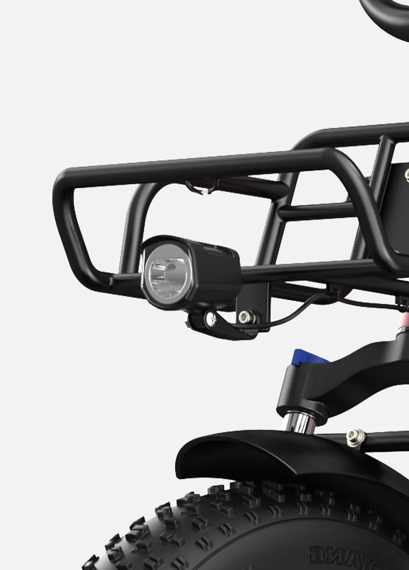 Engwe L20 Electric Bike