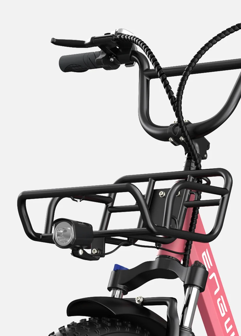 Engwe L20 Electric Bike