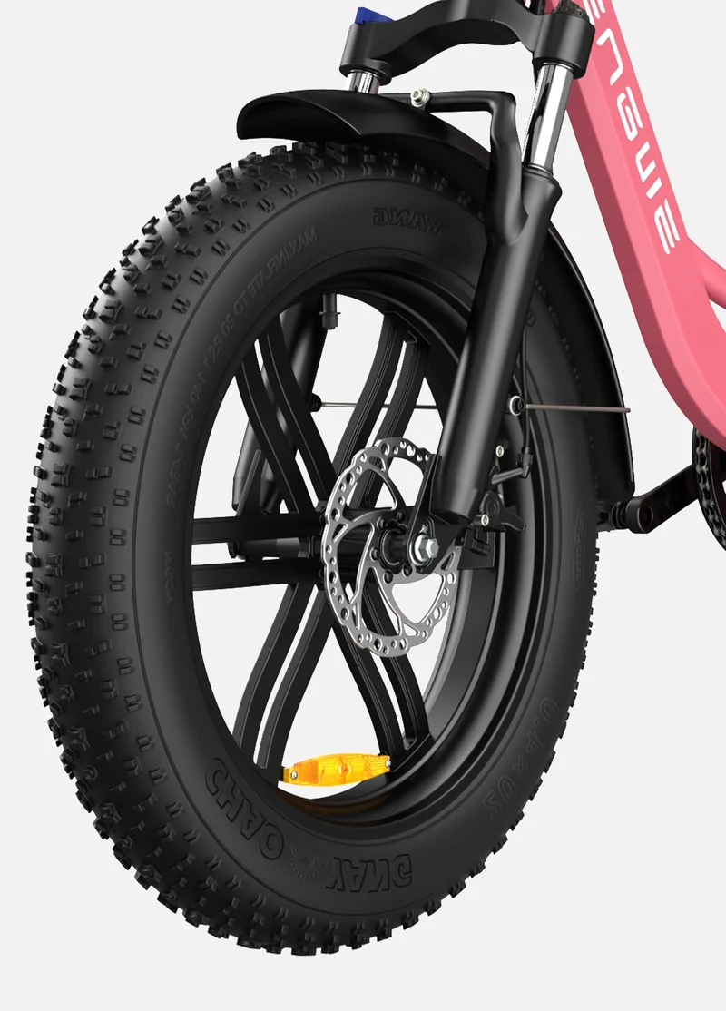 Engwe L20 Electric Bike