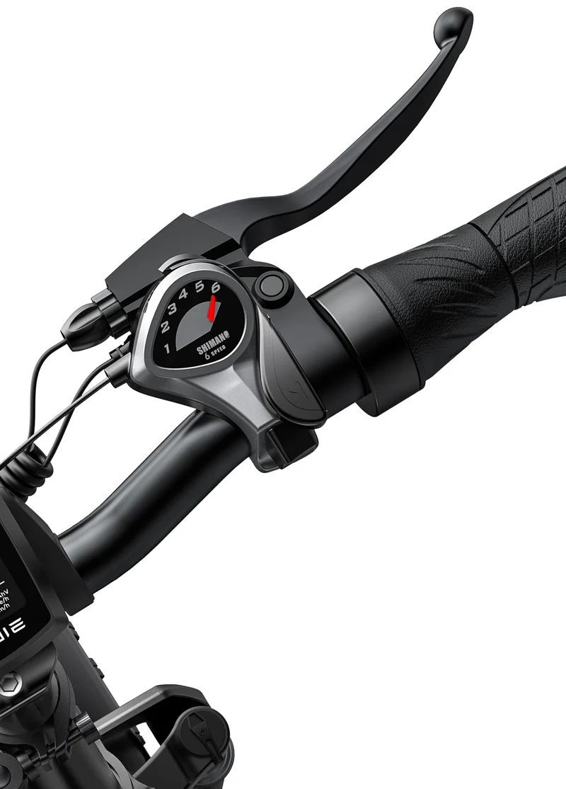 Engwe EP-2 PRO 750w Electric Bike
