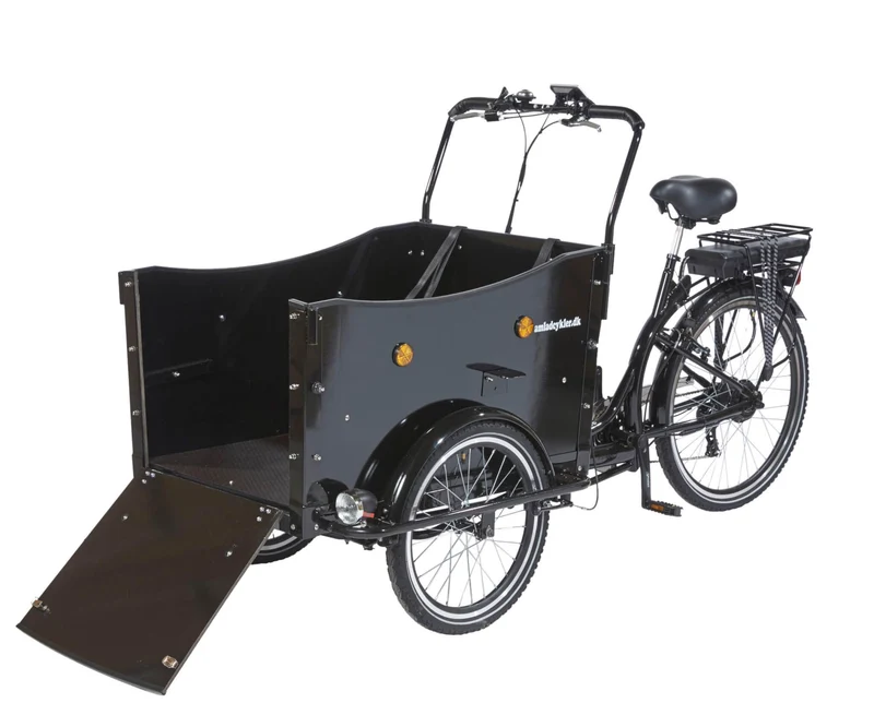 AM Cargo Dog Friendly Electric Trike
