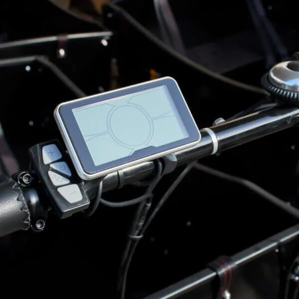 AM Cargo Dog Friendly Electric Trike