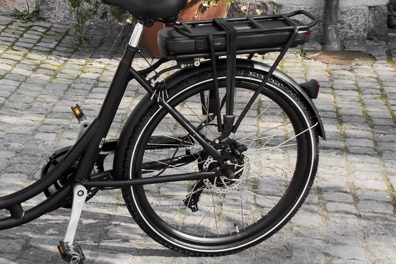 AM Cargo Ultimate Curve Electric Trike