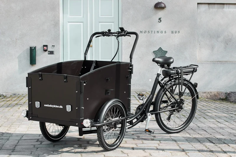 AM Cargo Ultimate Curve Electric Trike