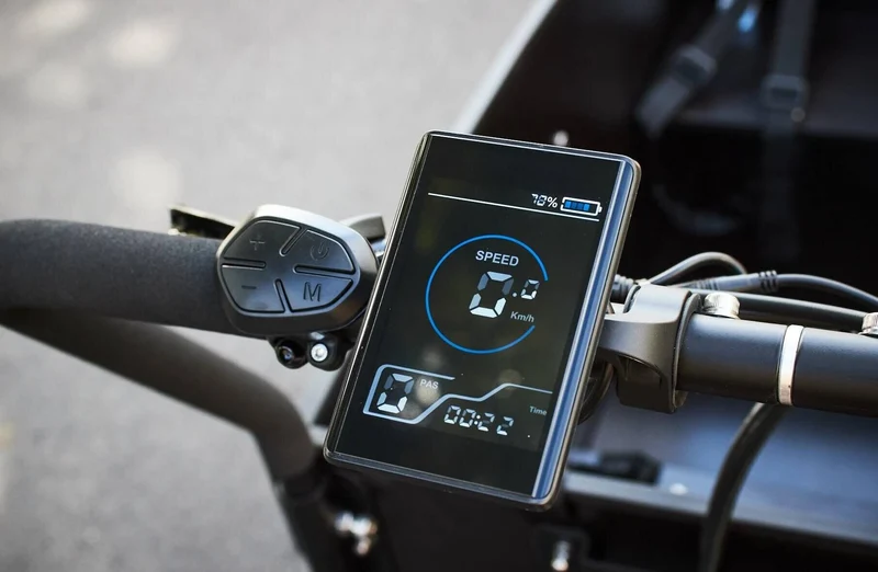 AM Cargo Ultimate Curve Electric Trike