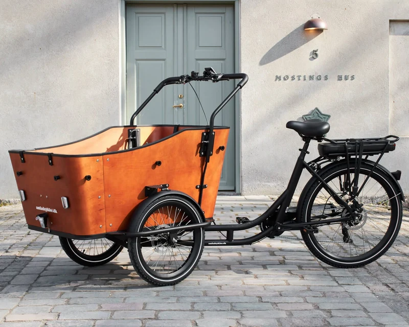 AM Cargo Ultimate Harmony Electric Trike