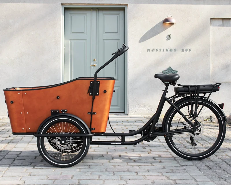 AM Cargo Ultimate Harmony Electric Trike