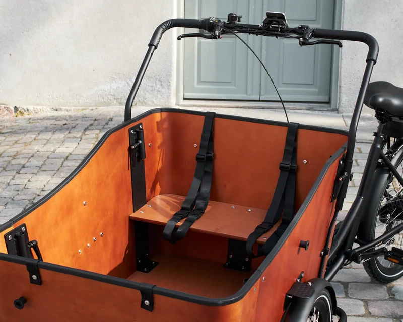 AM Cargo Ultimate Harmony Electric Trike