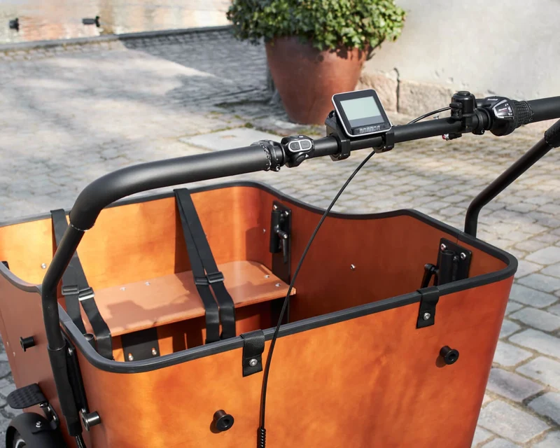 AM Cargo Ultimate Harmony Electric Trike