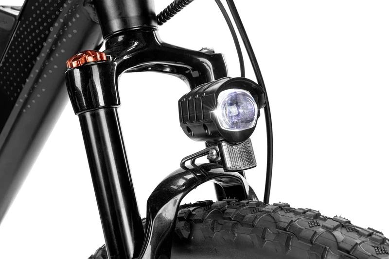 Techtron Ultra 8000 Electric Bike - Shipping April 2024