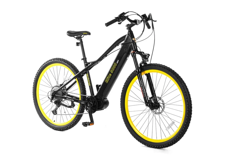 Techtron Elite 5000 (Middle Motor) Electric Bike - Shipping April 2024