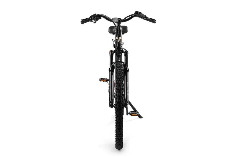 Techtron Elite 5000 (Rear Motor) Electric Bike - Shipping April 2024