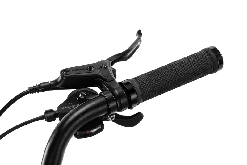 Techtron Elite 5000 (Rear Motor) Electric Bike - Shipping April 2024