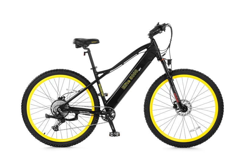 Techtron Elite 5000 (Rear Motor) Electric Bike - Shipping April 2024