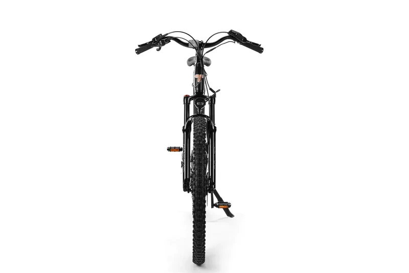Techtron Pro 3500 Electric Bike - Shipping April 2024