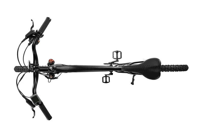 Techtron Pro 3500 Electric Bike - Shipping April 2024