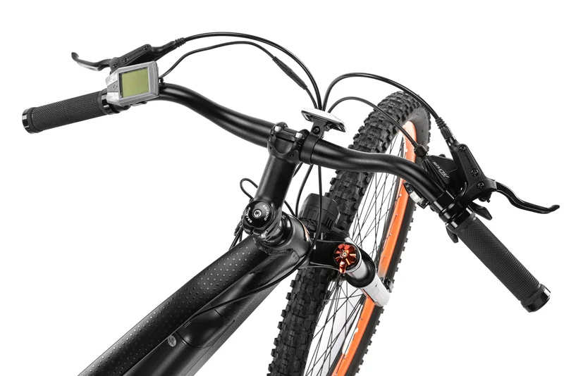 Techtron Pro 3500 Electric Bike - Shipping April 2024