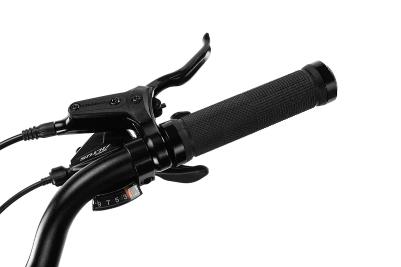 Techtron Pro 3500 Electric Bike - Shipping April 2024