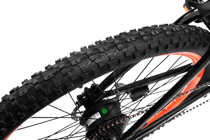 Techtron Pro 3500 Electric Bike - Shipping April 2024