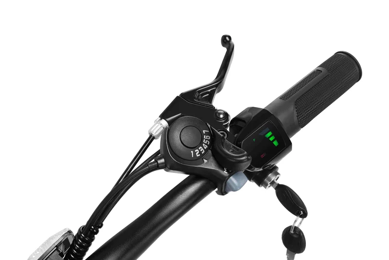 Techtron Explore 2500 Electric Bike - Shipping April 2024