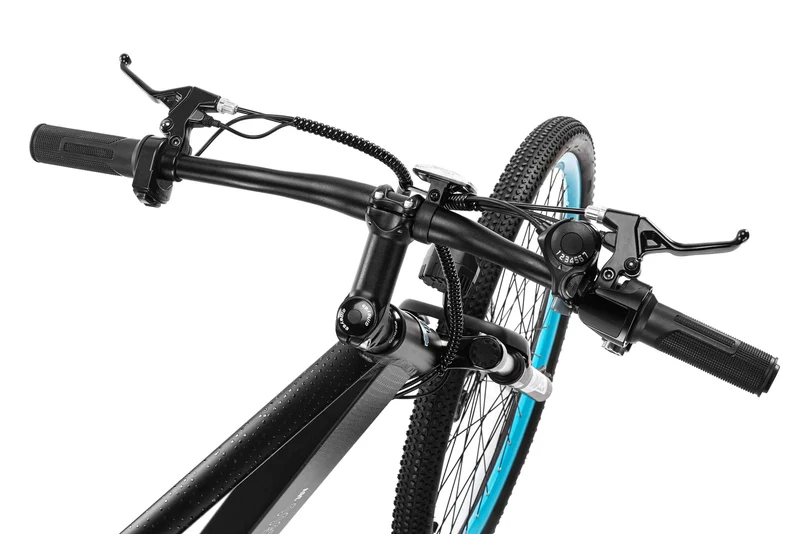 Techtron Explore 2500 Electric Bike - Shipping April 2024