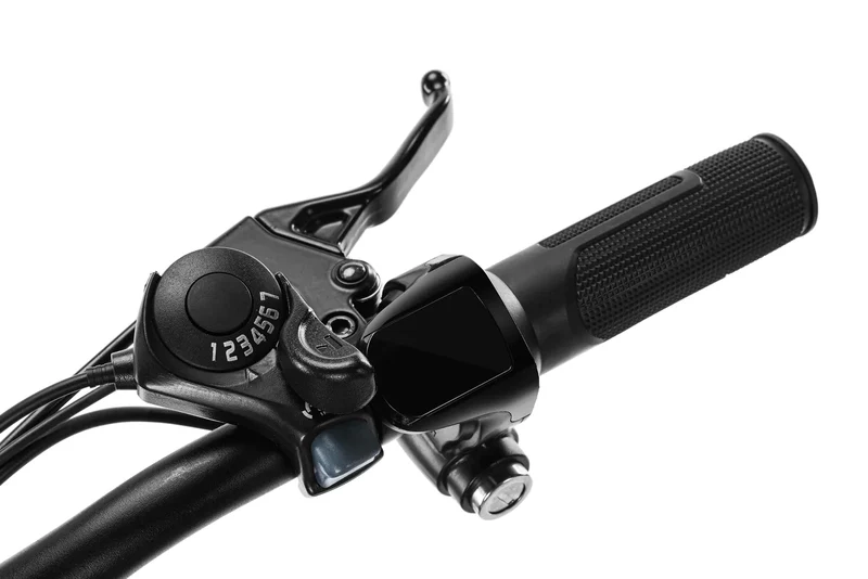 Techtron Explore 2500 Electric Bike - Shipping April 2024