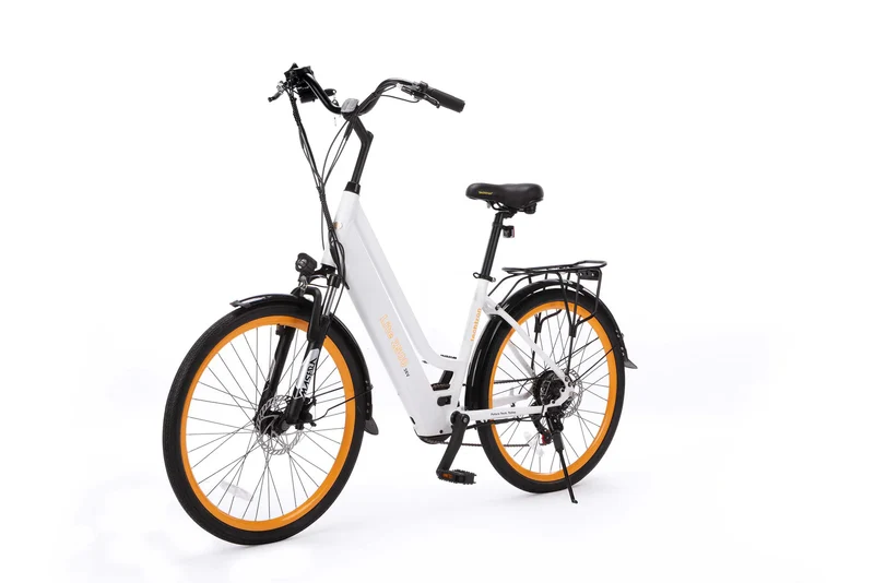 Techtron Lite 2500 Electric Bike - Shipping April 2024