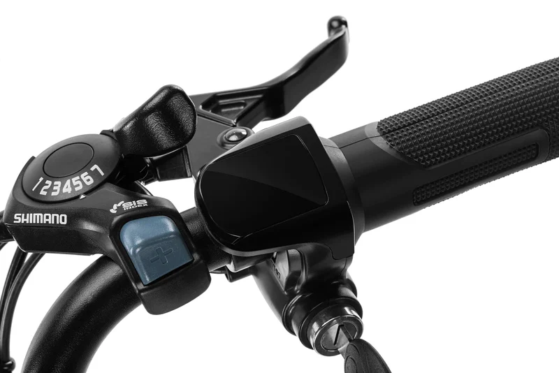 Techtron Lite 2500 Electric Bike - Shipping April 2024