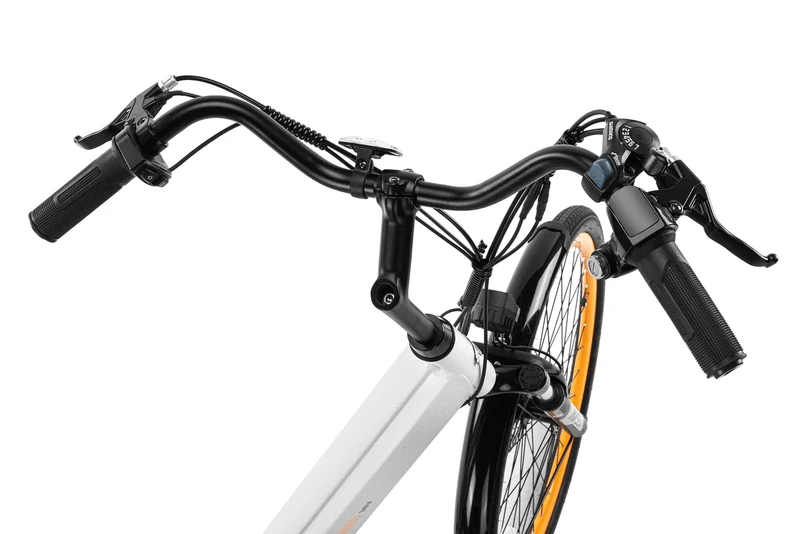 Techtron Lite 2500 Electric Bike - Shipping April 2024