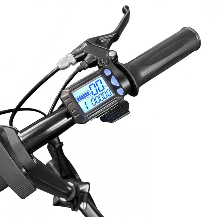 Axon Pro Lite Folding Electric Bike