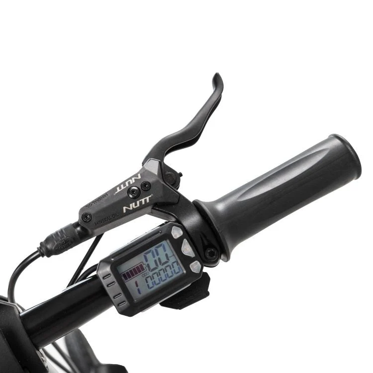 Axon Pro Folding Electric Bike