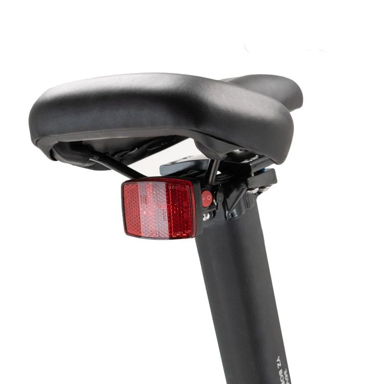 Axon Pro Folding Electric Bike